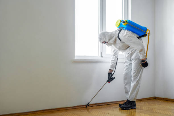 Best Affordable Pest Control Services  in Payne, OH