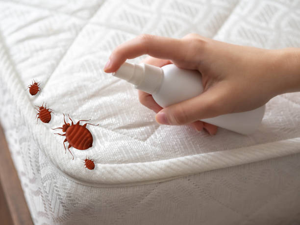 Best Pest Prevention Services  in Payne, OH